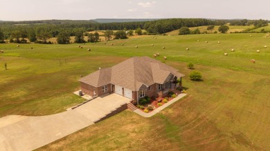 Custom Home on 40 Acres in Hector, Arkansas - Built in