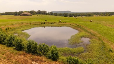 Custom Home on 40 Acres in Hector, Arkansas - Built in