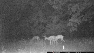 Custom Home on 40 Acres in Hector, Arkansas - Built in