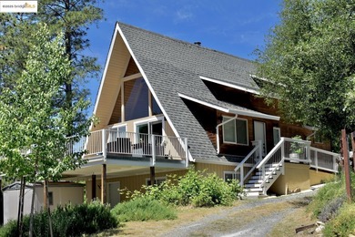 Lake Home For Sale in Groveland, California