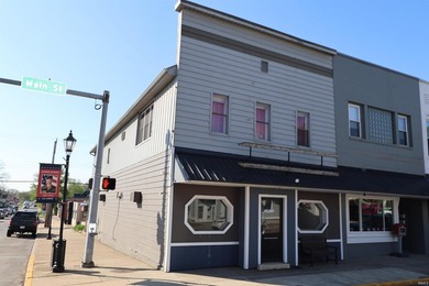Amazing Opportunity in Desirable Downtown Syracuse! Discover the - photo 1