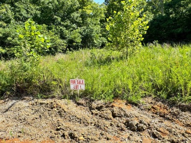 Lake Lot For Sale in Somerset, Kentucky