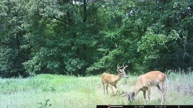 Custom Home on 40 Acres in Hector, Arkansas - Built in