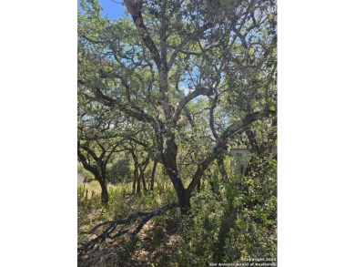 Canyon Lake Lot For Sale in Canyon Lake Texas