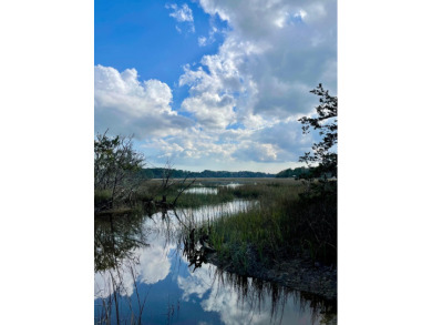 North Edisto River Acreage For Sale in Meggett South Carolina
