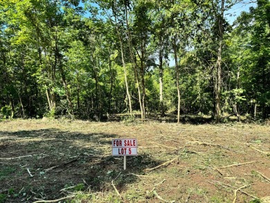 Lake Lot For Sale in Somerset, Kentucky