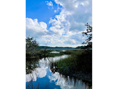 Build your dream home on this beautiful 2.27-acre lot in Meggett - photo 2