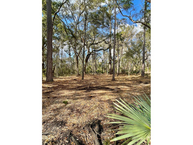 Build your dream home on this beautiful 2.27-acre lot in Meggett - photo 5