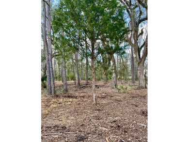 Build your dream home on this beautiful 2.27-acre lot in Meggett - photo 6