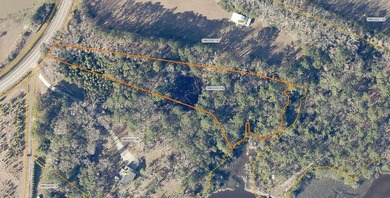 Build your dream home on this beautiful 2.27-acre lot in Meggett - photo 9