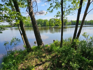(private lake, pond, creek) Acreage For Sale in Sparta Wisconsin