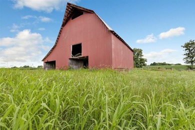 Family Farm Since 1910 - A Rare Opportunity with Endless - photo 49