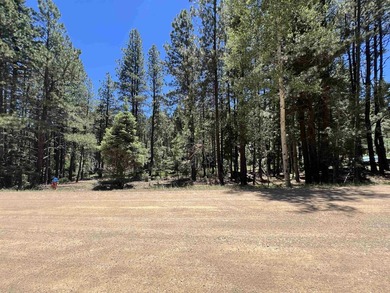 Monte Verde Lake Lot For Sale in Angel Fire New Mexico