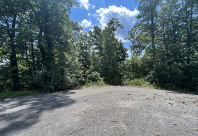 Lake Access Lot in Hidden Springs on Norris Lake! - photo 7