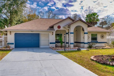 Bird of Paradise Lake Home For Sale in Palm Coast Florida