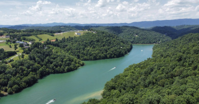 Lake Access Lot in Hidden Springs on Norris Lake! - Lake Lot For Sale in La Follette, Tennessee