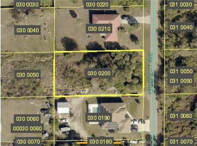 Lehigh Acres Area Lot For Sale in Lehigh Acres Florida