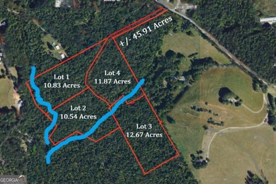 ALL 4 LOTS = +/-45.9 Acres Beautiful flowing CREEKS runs through - photo 2