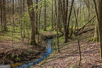 ALL 4 LOTS = +/-45.9 Acres Beautiful flowing CREEKS runs through - photo 3