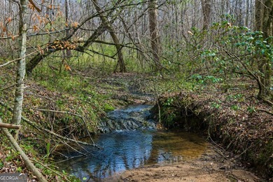 ALL 4 LOTS = +/-45.9 Acres Beautiful flowing CREEKS runs through - photo 4