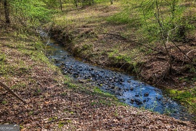 ALL 4 LOTS = +/-45.9 Acres Beautiful flowing CREEKS runs through - photo 5