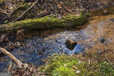ALL 4 LOTS = +/-45.9 Acres Beautiful flowing CREEKS runs through - photo 6