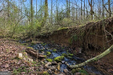 ALL 4 LOTS = +/-45.9 Acres Beautiful flowing CREEKS runs through - photo 7