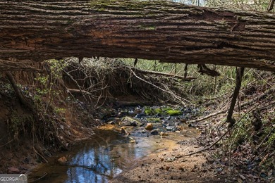 ALL 4 LOTS = +/-45.9 Acres Beautiful flowing CREEKS runs through - photo 8