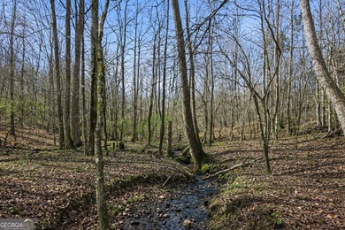 ALL 4 LOTS = +/-45.9 Acres Beautiful flowing CREEKS runs through - photo 9