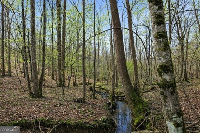 ALL 4 LOTS = +/-45.9 Acres Beautiful flowing CREEKS runs through - photo 10