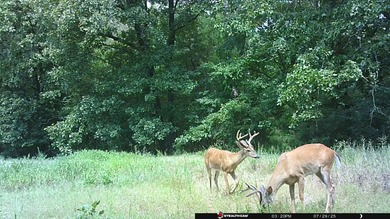 Custom Home on 40 Acres in Hector, Arkansas - Built in