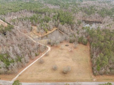 Lake Acreage For Sale in Appling, Georgia