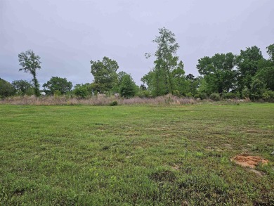Lake Palestine Lot For Sale in Chandler Texas