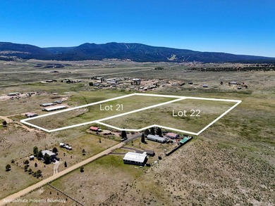 Monte Verde Lake Commercial For Sale in Angel Fire New Mexico