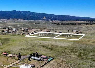 Prime Commercial Development Opportunity in Angel Fire! Rare - photo 5