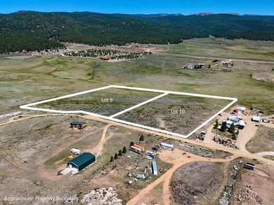 Prime Commercial Development Opportunity in Angel Fire! Rare - photo 6