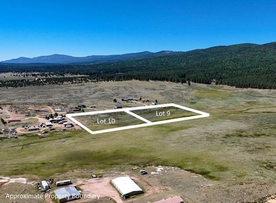 Prime Commercial Development Opportunity in Angel Fire! Rare - photo 7