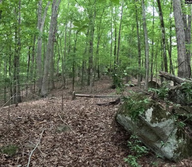 Your lakeside retreat awaits! This 1.78 acre waterfront lot on - photo 11