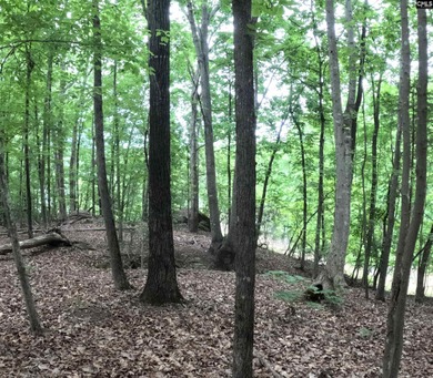 Your lakeside retreat awaits! This 1.78 acre waterfront lot on - photo 13