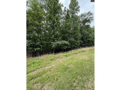 Your lakeside retreat awaits! This 1.78 acre waterfront lot on - photo 16