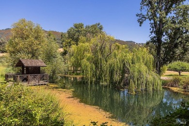 Discover the unparalleled charm of McFadden Family Vineyard & - photo 38