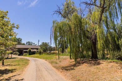 Discover the unparalleled charm of McFadden Family Vineyard & - photo 39
