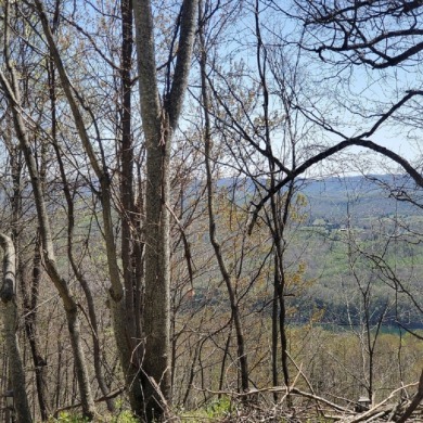 Gorgeous Norris Lake Views from this 2+ Acre Lot - Lake Lot Under Contract in New Tazewell, Tennessee
