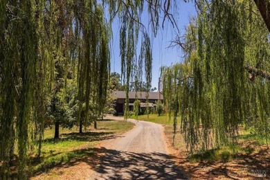 Discover the unparalleled charm of McFadden Family Vineyard & - photo 40