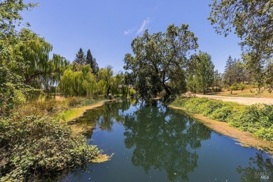 Discover the unparalleled charm of McFadden Family Vineyard & - photo 47