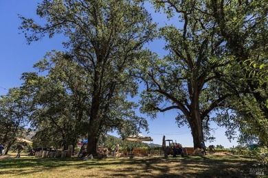 Discover the unparalleled charm of McFadden Family Vineyard & - photo 49