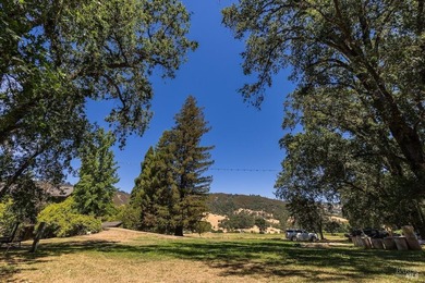 Discover the unparalleled charm of McFadden Family Vineyard & - photo 50