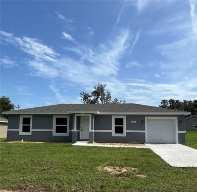 Bonable Lake Home For Sale in Dunnellon Florida