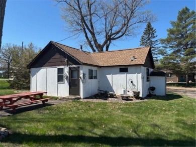 Lake Townhome/Townhouse For Sale in Isle, Minnesota