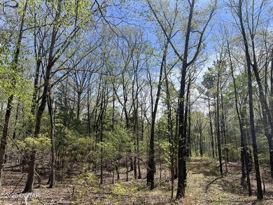 Absolutely beautiful 3.4 acre lot in the gated Indian Lake - photo 14